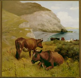 In der Nähe von Lizard Point, Cornwall